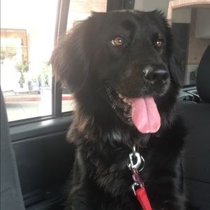 Meet your Posher, Isabel